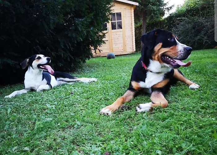 Σπίτι διακοπών Moja *